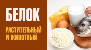 4 БЕЛКИ (ПРОТЕИН). Как восстановить здоровье. Система СВОТ