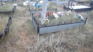 Видишь суслика? Нет? А он есть.