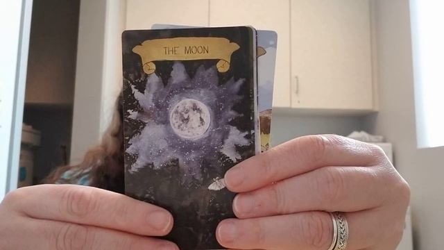 Unboxing and walkthrough of Tarot Fauna! смотреть онлайн