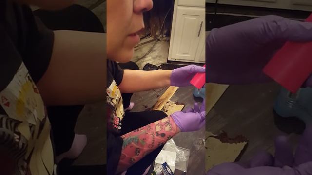 Home Depot Mold Test January 3, 2018 смотреть онлайн