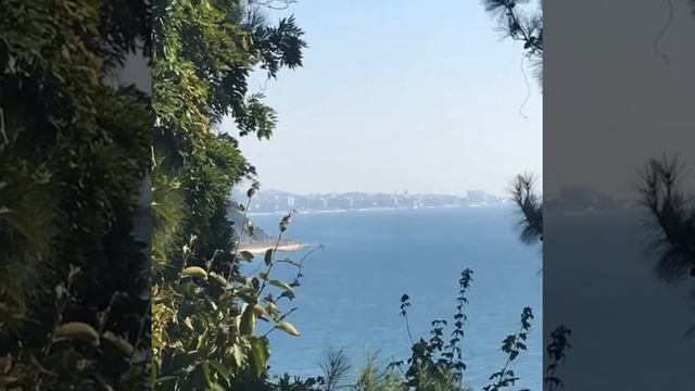 Дача Квитко ,очень странное место по ощущениям ! смотреть онлайн