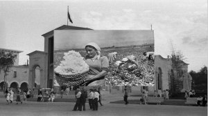 Руководители Армянской ССР (+фотографии Армянской ССР)