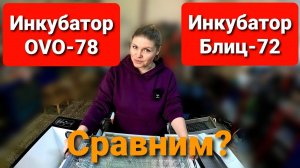 Какой ИНКУБАТОР выбрать OVO или БЛИЦ? Обзор инкубатора OVO-78.