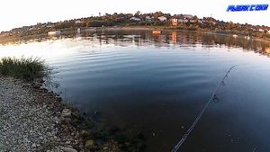 Ловля СУДАКА на ДЖИГ с берега! Рыбалка на судака! Спиннинг на Оке!