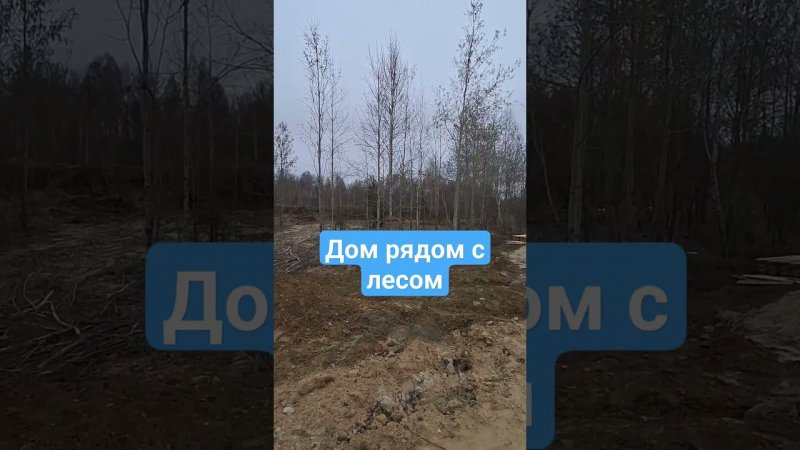 Купить дом рядом с лесом. Риэлтор с Винзилей. Строительство дома