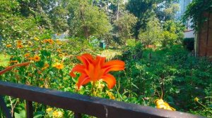 г.Черкассы, район Седова - 2021г., Украина