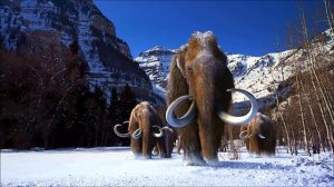 Клонирование мамонтов - безответственный трёп! Рассказывает Константин Викторович Северинов.