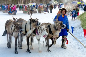 Знакомьтесь – День оленевода! Детский взгляд на праздник