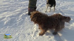 Дневная ловля рипуса, пеляди, сига. Потанинский карьер. Декабрь 2014 г.