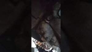 Ауди 100 С4(45) AAD-замена нижнего патрубка радиатора