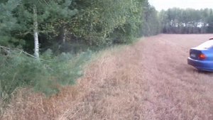 PR900W (B022) Полнотел 0,86г.Хорошо.