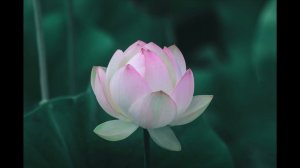 МЕДИТАЦИЯ НА УСИЛЕНИЕ ЖЕНСКОЙ ЭНЕРГИИ