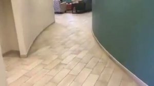 22798841 1284417981668767 8339503217998036992 n