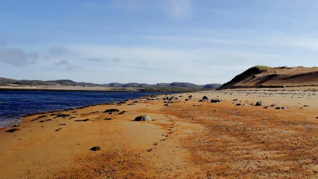 Dying Avatar – Insensitive Ocean (Kola Peninsula nature) смотреть онлайн