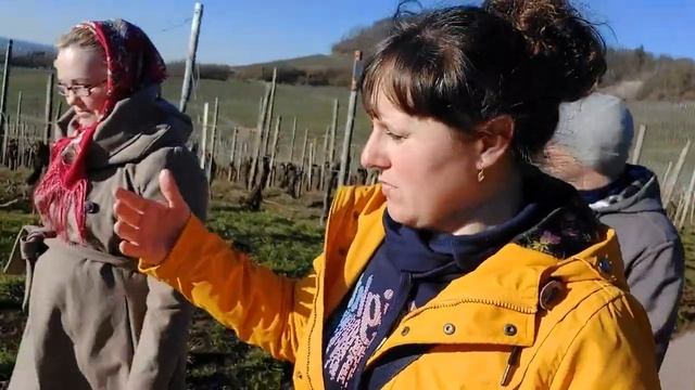 В гостях, часть 2. Город виноградных плантаций - Hohenhaslach. Гуляем и болтаем. Винодельня смотреть онлайн