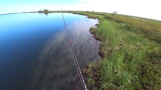 ЭТО ОЗЕРО ВСЕГДА РАЗДАЕТ.РЫБА ВСЯ У БЕРЕГА СТОИТ ПОД ПЛАВУНАМИ. смотреть онлайн