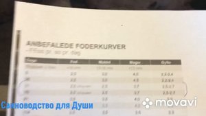 Правильное (рекомендуемое)кормление супоросных свиноматок!