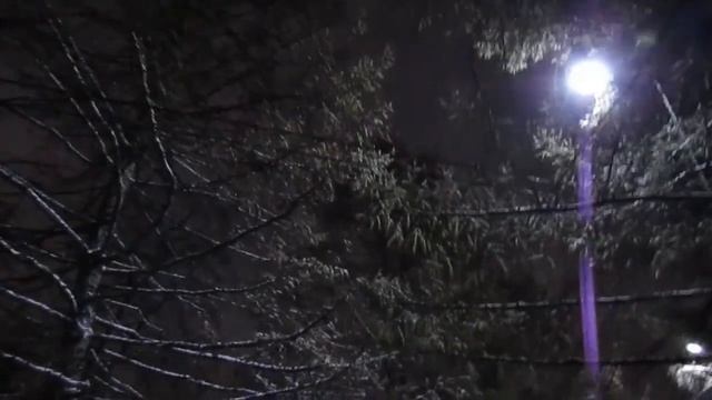 Новогоднее видео 2021 смотреть онлайн