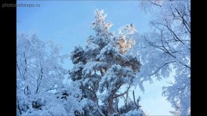 Sony A7R II. Тест