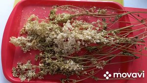 ТАВОЛГА, кардиомагнил природный. Разжижает кровь, воспаление снимает любое.