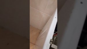 АРИСТОН СИЛЬНЫЙ ШУМ И ГУЛ. Сборка стиральной машины Ariston AQUALTIS QVB 7125.