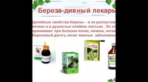 ДЕШЁВЫЙ, НО БЕСЦЕННЫЙ БЕРЁЗОВЫЙ ДЁГОТЬ!!!!!