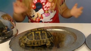 Обычная Еда против Мармелада Челлендж РОМА ПЛАЧЕТ! Real Food vs Gummy Food Candy Challenge Bad Baby