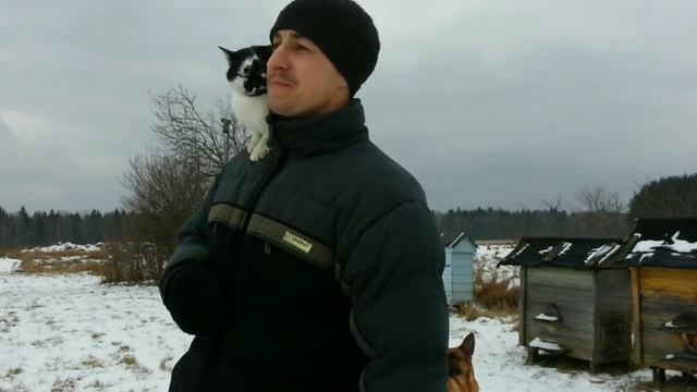 От тараканов до коровы // Часть 5 // Пчелки // Жизнь в деревне смотреть онлайн