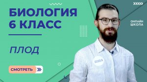 Плод. Урок 13. Биология 6 класс