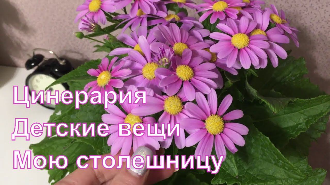 VLOG: ВАРИМ КОФЕ/КУПИЛА ЦВЕТОК/КАК УХАЖИВАЮ ЗА СТОЛЕШНИЦЕЙ