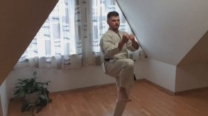 Каратэ для начинающих. Тренировки дома. Удар ногой Маэ гаери кеаге. Mae Geri Keage.