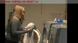 Клоп Москва, правда ли что в Москве появились тропические клопы?