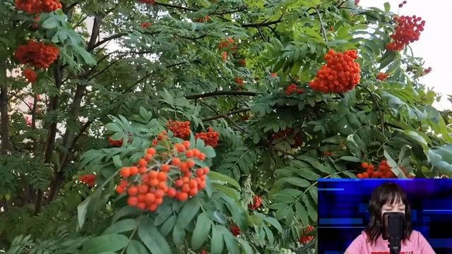 Муж продал дом и улетел на море. А спустя три года вернулся и оторопел, увидев... смотреть онлайн