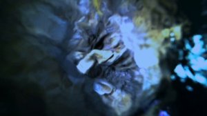 Водный мир острова Комодо серия 5