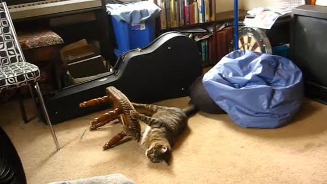 bigcat littlecat 2
