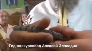 Чудо в Греции. Змейки Богородицы