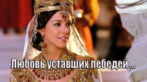 Любовь уставших лебедей*