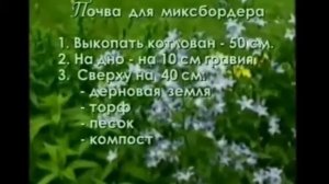 цветники своими руками/клумбы и цветники/формы цветников/цветники видео