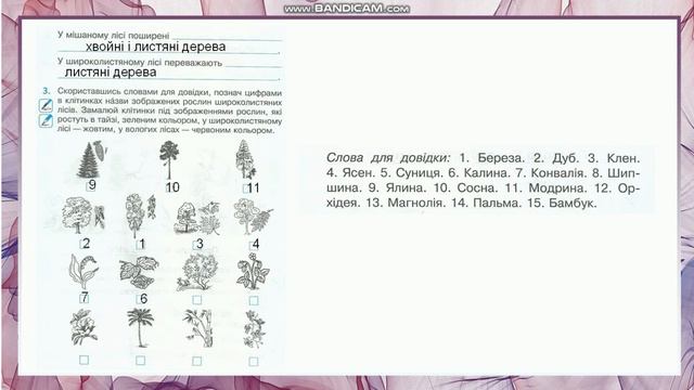 Я досліджую світ, 4 клас, робота в зошиті: "Природа Євразії: ліси" смотреть онлайн