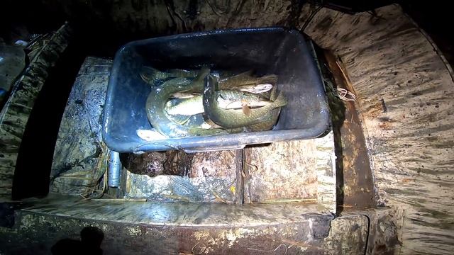 Ночная рыбалка дедовским способом или ванна рыбы за полчаса Рыбалка на острогу Рыбалка с лодки смотреть онлайн