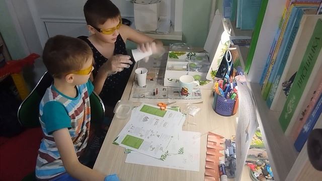Лаборатория Стёпы и Жени. Полимерные червяки
