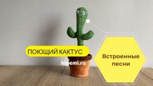 Поющий Кактус в горшке игрушка. Поет, танцует, повторяет фразы. Купить в Москве. Hipemi.ru
