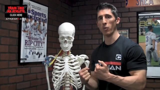 БОЛИТ ЛОКОТЬ ВО ВРЕМЯ ТРЕНИРОВКИ - почему и что делать | Джефф Кавальер смотреть онлайн