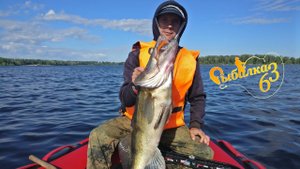 Судак монстр пойман на джиг. Открыли сезон удачно