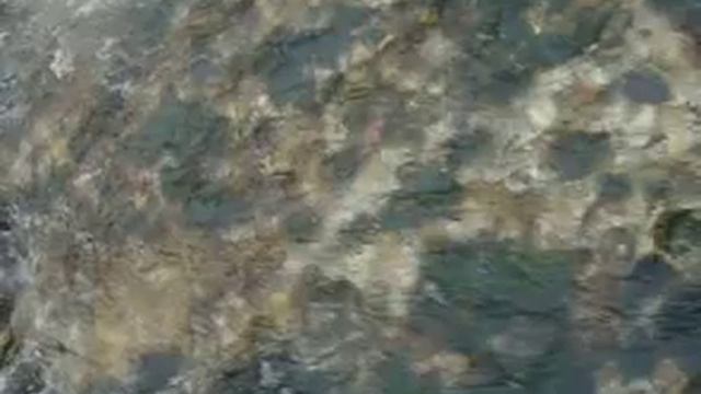 E.H. Grieg Sonata no.3  c minor for violin and piano - 3.mouv.