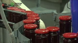 Проект по расширению производства реализует Вологодский комбинат пищевых продуктов леса