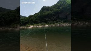 real vr fishing VR,  pico 4