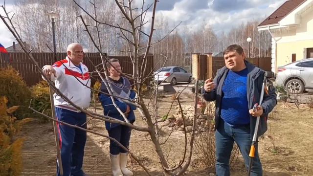 Как сделать дерево ежегодно плодоносящим смотреть онлайн