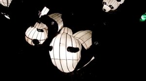 Одесса. Фестиваль китайских фонарей. Панды./Odessa. Chinese Lantern Festival. Pandas.