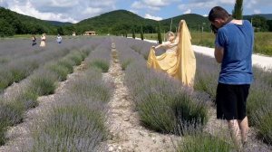 Лавандовое  поле в Анапе? #анапа #лавандовоеполе #2021 #Лаванда